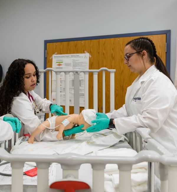 Neonatal Nurse Practitioner, MSN
